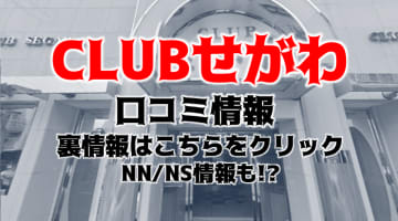 【裏情報】堀之内のソープ"クラブせがわ"で極上Fを堪能！料金・口コミを公開！のサムネイル画像