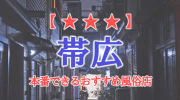 【北海道】帯広で本番できる風俗店10選！のサムネイル画像