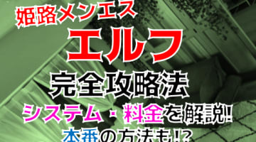 【抜きあり？】姫路のメンズエステ"エルフ”の美人セラピストに大放出！口コミと料金等を公開！本番は可能？のサムネイル画像