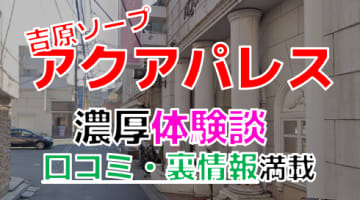 【2024年最新情報】東京・吉原のソープ"アクアパレス"での濃厚体験談！料金・口コミ・おすすめ嬢・本番情報を網羅！のサムネイル画像