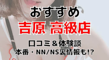 【2025年】吉原のおすすめ高級ソープ10店を全50店舗から厳選！【NN/NS体験談】のサムネイル画像