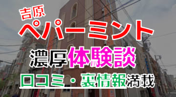 【2024年最新情報】東京・吉原のソープ"ペパーミント"での濃厚体験談！料金・口コミ・おすすめ嬢・本番情報を網羅！のサムネイル画像