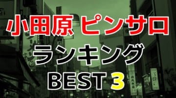 神奈川・小田原のおすすめピンサロ・人気ランキングBEST3！【2024年最新】のサムネイル画像