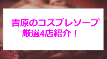 【本番・NN/NS情報】吉原のコスプレソープ人気ランキング4選！【2024年】のサムネイル