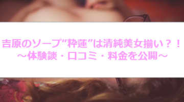 NN/NS体験談！東京・吉原のソープ“粋蓮”の淫乱美女は別格！料金・口コミを公開！【2025年】のサムネイル画像