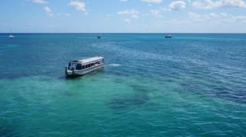旅ブロガー厳選！ケアンズでおすすめの観光地4選！【観光にあたっての注意点も紹介】 のサムネイル画像