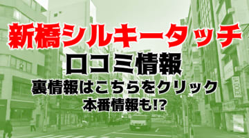 【裏情報】デリヘル”新橋シルキータッチ”は乳首愛撫専門！料金・口コミを公開！のサムネイル画像