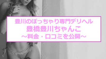 【裏情報】デリヘル"豊橋豊川ちゃんこ"で激カワぽっちゃり女性とエッチ！料金・口コミを公開！のサムネイル画像