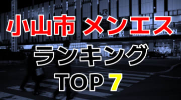 栃木小山市のおすすめメンズエステ・人気ランキングTOP7【2024年最新】のサムネイル画像