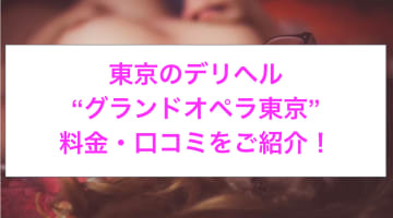 【裏情報】デリヘル”グランドオペラ東京”で極上美女をハメる！料金・口コミを公開！のサムネイル画像