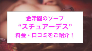 【裏情報】金津園のソープ“スチュアーデス”でギャルの極秘サービス！料金・口コミを公開！のサムネイル画像