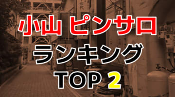 栃木・小山市のおすすめピンサロ・人気ランキングTOP2【2024年最新】のサムネイル画像