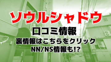 NN/NS体験談！鳥取・米子のソープランド”ソウルシャドウ”は10代の嬢と○○！？料金・口コミを公開！【2025年】のサムネイル画像