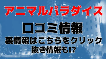 【裏情報】五反田のピンクサロン“アニマルパラダイス”でギャルの過激すぎるサービス！料金・口コミを公開！のサムネイル画像