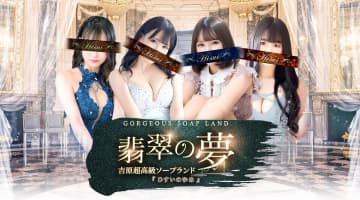 【NN/NS情報】東京・吉原のソープランド”翡翠の夢”の潜入体験談！口コミと総額・おすすめ嬢を紹介！のサムネイル画像