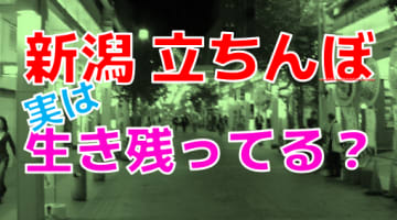 【2024年裏風俗事情】新潟のたちんぼ壊滅の噂はマジ!?実際に行って確かめてみたのサムネイル