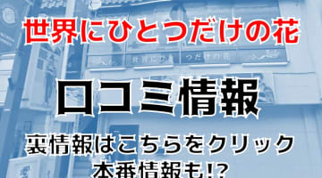 【裏情報】越谷の”世界にひとつだけの花”（旧ラブコレクション）で濃密な体験！料金・口コミを公開！のサムネイル画像