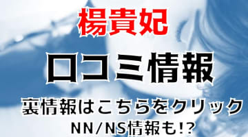 【体験談】新宿のソープ”楊貴妃”で高貴な美女とNN/NSできる？料金・口コミを公開！のサムネイル画像