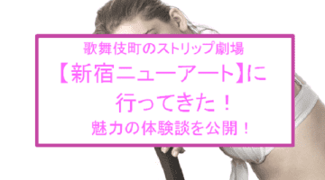 【裏情報】歌舞伎町のストリップ劇場” 新宿ニューアート”で美女の過激ダンス！料金・口コミを公開のサムネイル画像