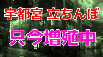 【現状報告】宇都宮にたちんぼが帰ってきた！現在および過去の頻出スポットに直撃！【2024年】のサムネイル画像