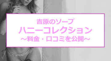 【裏情報】吉原の格安ソープ"HONEY COLLECTION(ハニーコレクション)"の潜入体験談！総額・口コミを公開！【2024年】のサムネイル画像