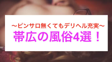 【本番情報】帯広にはピンサロが無い？代わりのエロ風俗4選でヌキ三昧！のサムネイル画像