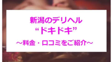 【裏情報】新潟のデリヘル"ドキドキ"透明感ある美女を辱める！料金・口コミを公開！のサムネイル画像