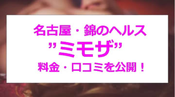 【裏情報】名古屋・錦のヘルス”ミモザ”は妖艶な人妻と安い料金で濃厚プレイ！料金・口コミを公開！のサムネイル画像