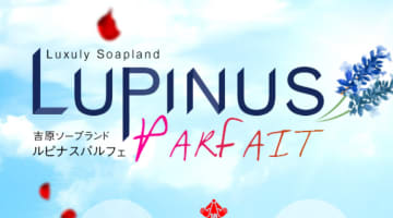 【NN/NS情報】東京・吉原のソープランド”LUPINUS PARFAIT（ルピナスパルフェ）”の潜入体験談！口コミと総額・おすすめ嬢を紹介！のサムネイル画像