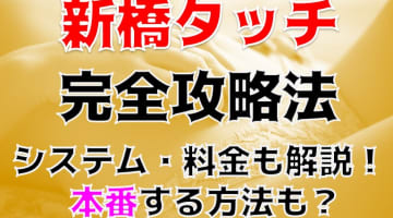 【体験談】新橋のイメクラ”新橋たっち”で痴女制服っ子とプレイ！料金システム・口コミを大公開！のサムネイル画像