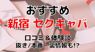 本番体験談！東京・新宿のセクキャバ7店を全32店舗から厳選！【2024年】のサムネイル画像