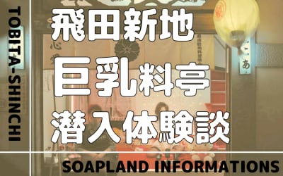 飛田新地で巨乳と本番できる料亭6選！【NN/NS情報】のサムネイル画像