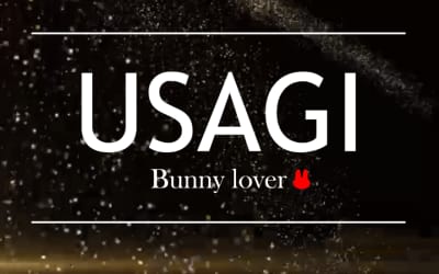 【NN/NS情報】東京・吉原のソープランド”吉原USAGI バニーラバー”の潜入体験談！口コミと総額・おすすめ嬢を紹介！のサムネイル画像