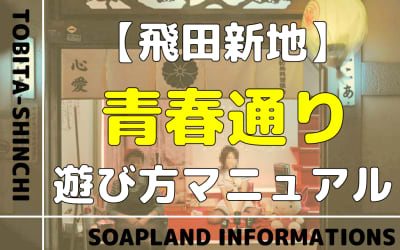【飛田新地】青春通りの遊び方マニュアル！おすすめ料亭とNN/NS情報を紹介！のサムネイル画像