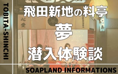 飛田新地の料亭”夢”の潜入体験談！NN/NS情報・料金・遊び方を紹介！【2026年】のサムネイル画像
