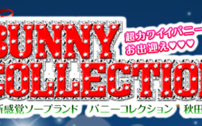 【秋田・ソープ】バニーコレクションへの潜入体験談！NN/NS情報と総額・口コミを紹介！【2026年】のサムネイル画像