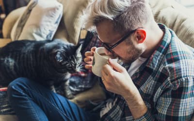 勃起力を高めるNo.1ドリンクはコレ！注目すべき成分とは？のサムネイル画像