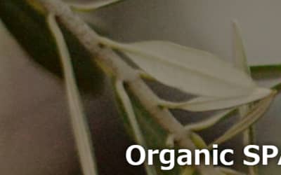 【目黒・メンズエステ】Organic SPAへの潜入体験談！抜き・本番情報と口コミを紹介！【2026年】のサムネイル画像