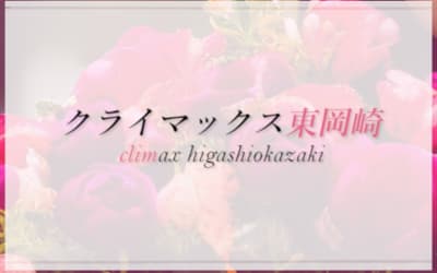 東岡崎のメンズエステ”クライマックス東岡崎"の特徴・口コミ・抜き情報・在籍嬢を紹介！のサムネイル画像