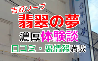 東京・吉原のソープ"翡翠の夢"でNN/NS交渉！エロすぎる体験談を暴露！【2026年】のサムネイル画像