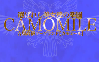  【NN/NS情報】東京・吉原のソープランド”カモミール”の潜入体験談！口コミと総額・おすすめ嬢を紹介！のサムネイル画像