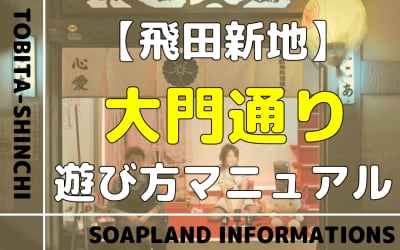 飛田新地の大門通りを徹底解説！料金やNN/NS情報を紹介！のサムネイル画像