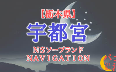  【宇都宮】栃木の全ソープランドをNN/NS・S着店に分けて紹介！のサムネイル画像