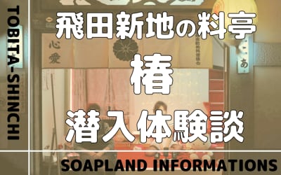飛田新地の料亭”椿”の潜入体験談！NN/NS情報・料金・遊び方を紹介！【2026年】のサムネイル画像