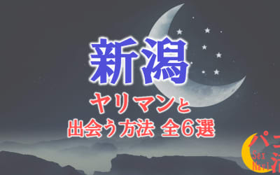 ヤリマン女と新潟で出会う全6方法！すぐヤレる欲求不満な素人と即日本番！のサムネイル画像