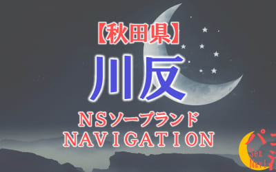  【川反】秋田の全ソープランドをNN/NS・S着店に分けて紹介！のサムネイル画像