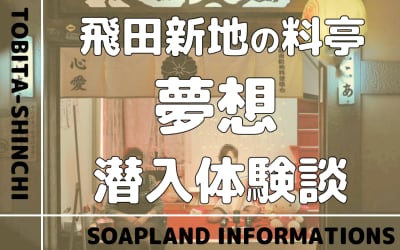 飛田新地の料亭”夢想”の潜入体験談！NN/NS情報・料金・遊び方を紹介！【2026年】のサムネイル画像