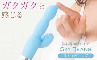 ”スカイビーンズ”は中を開発したいバイブ初心者さんにおすすめ！使用レビューと口コミも公開！【2026年最新】のサムネイル画像