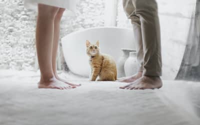 勃起と硬さの関係性！硬いペニスを取り戻すにはあの方法が効果的！？のサムネイル画像