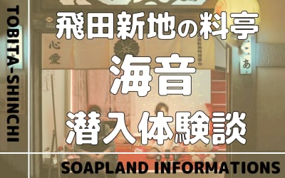 飛田新地の料亭”海音”の潜入体験談！NN/NS情報・料金・遊び方を紹介！【2026年】のサムネイル画像
